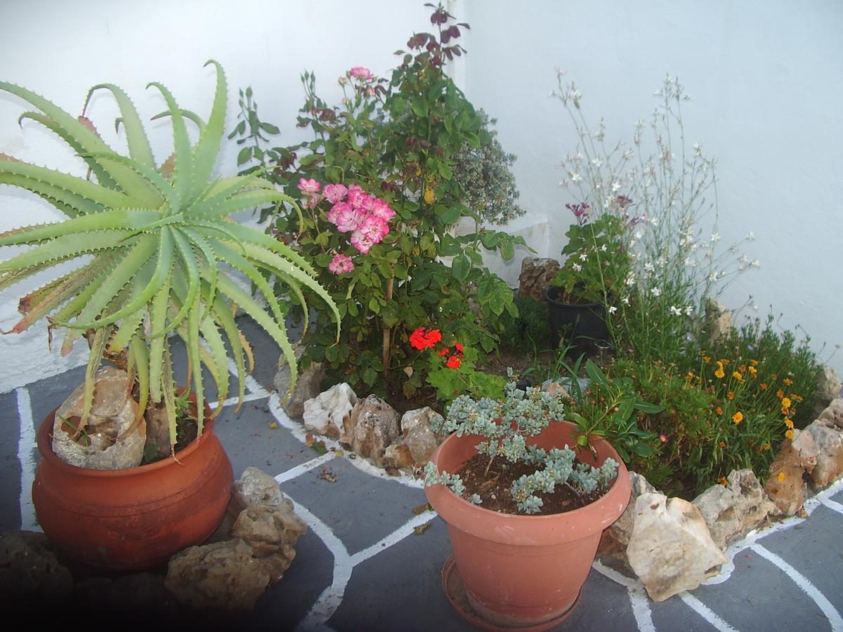 Skyros Koxilas Studios Екстер'єр фото